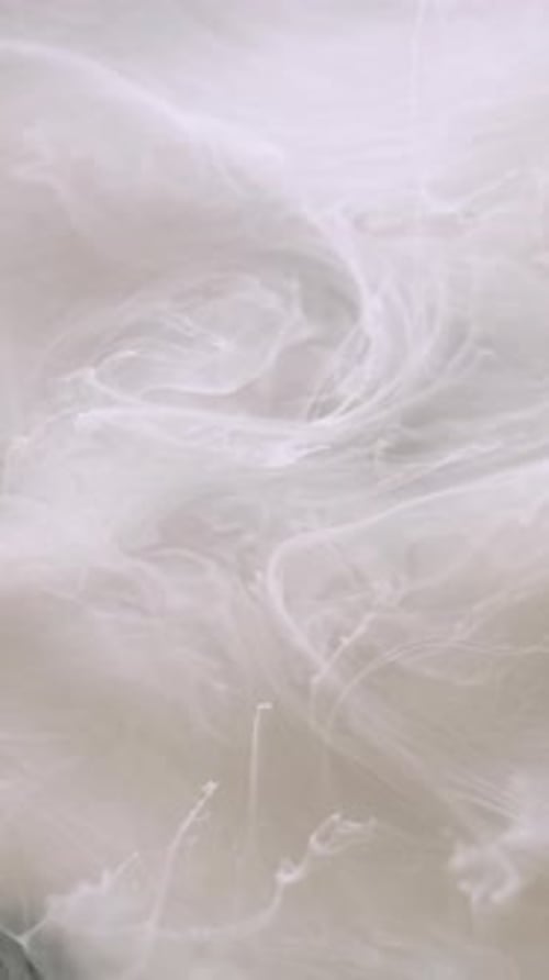 White paint swirling slowly in liquid backdrop