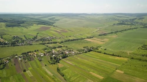 Aerial View of Small Village with Small Houses Among Green Trees with Farm Fields and Distant Forest