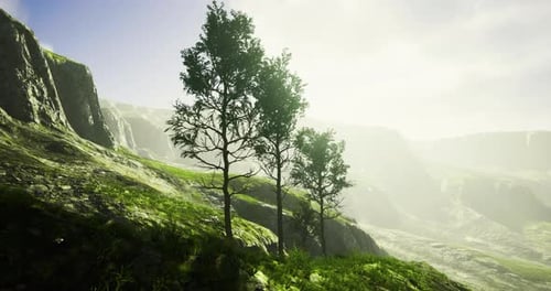 Lush Green Landscape with Trees Under a Bright Sky in the Mountains