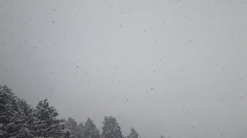 Heavy snowfall, snowflakes in different shapes and forms in snowstorm. Snowing in the winter with fo