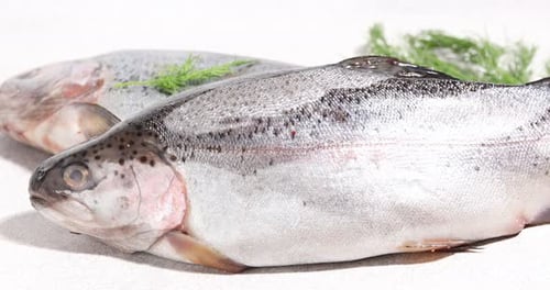 Frau fügt Dill auf rohen Forellenfisch am Leuchttisch hinzu, Nahaufnahme
