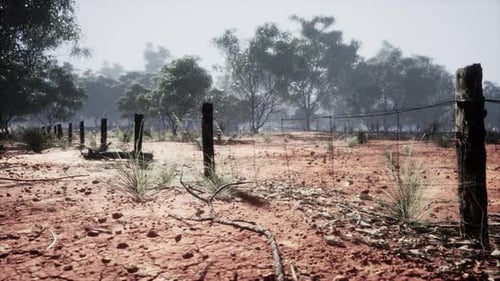 Barbed Wire Fence in Dry Outback Landscape with Trees