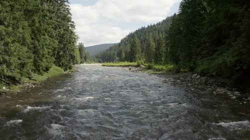 Vol d'un Drone à basse altitude au-dessus de la turbulente rivière des Carpates