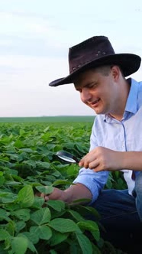 Dedicated Farmer Carefully Analyzing Crops in a Lush Green Field Using a Magnifying Glass