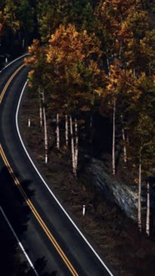 Aerial View of Snowy Forest with a Road