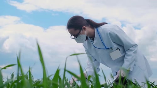 Botanist scientist analyzing plant crop making notes in a journal. Woman gardener biologist testing