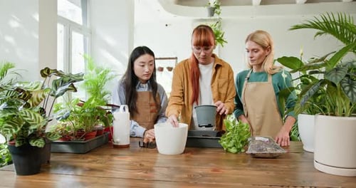 Women Repotting Plants Together in Indoor Workspace