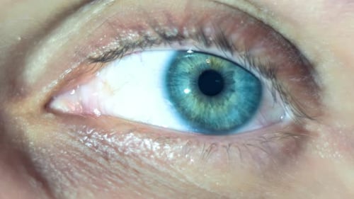 Extreme Close-Up of a Blue-Green Human Eye