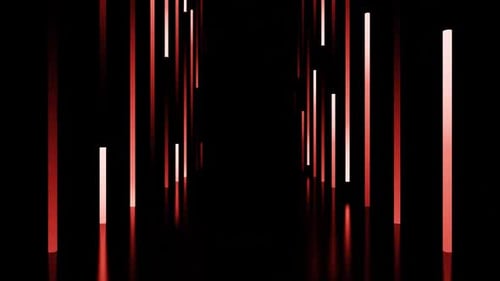 Red and White Neon Lines Moving Up and Down Tunnel Loop Animation