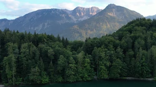 Sunset Fly Over Mountain Lake Alatsee Germany Wild Nature and Pine Forest