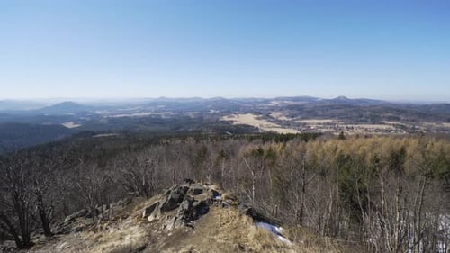 A Coniferous Forest in Fall Top View a Countryside and Hills in the Background