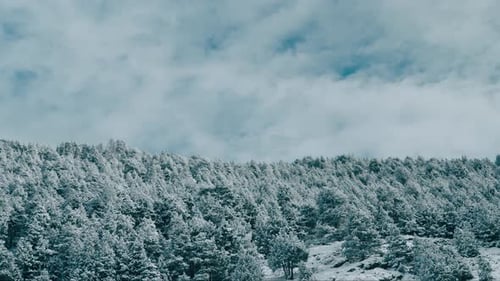 Aerial View of Winter Snowy Landscape