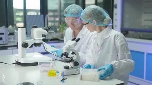 Scientists Work Carefully with Microscopes in Bright Laboratory