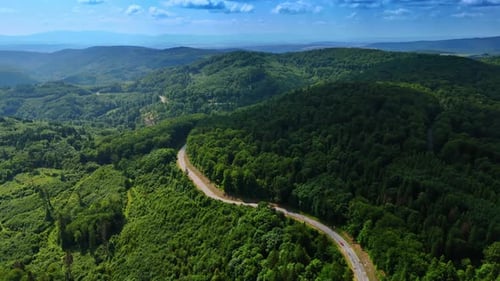 Curved road winding through lush green hills
