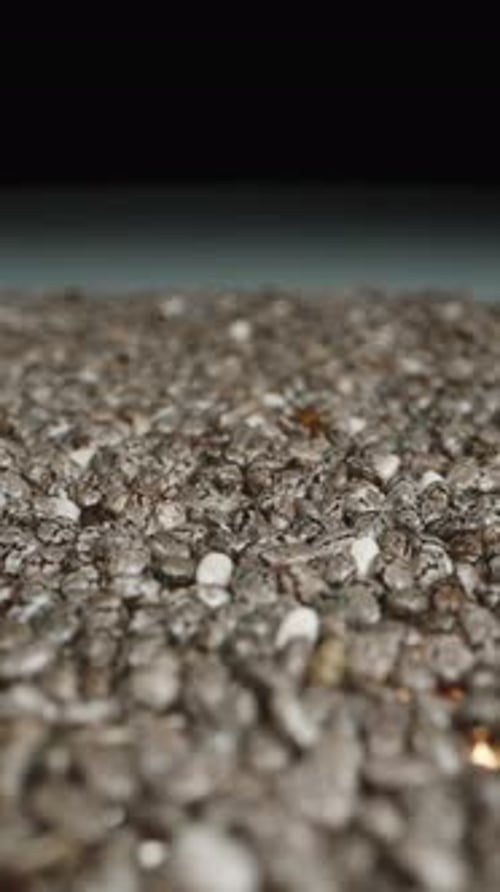 Detailed Close-Up of Nutritious Chia Seeds