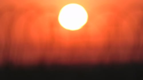 Barbed Wire on the Fence of the Protected Area
