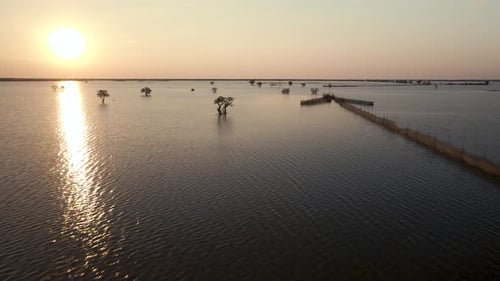 Golden Sunset over the Tonle Sap lake flood planes as the floodwater recedes revealing isolated lone