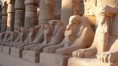 Karnak Temple, Egypt. Golden hour, sphinx statues by entrance.