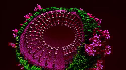 3D Scientific Animation of Virus Structure with Inner Zoom