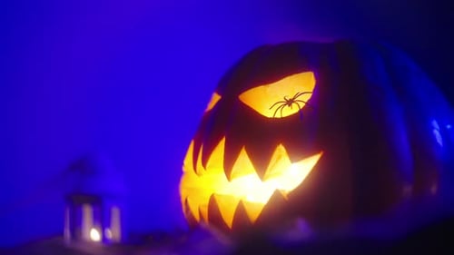 Glowing Halloween Pumpkin with Spider at Night