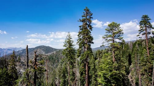 Time Lapse - Panoramic View of the Valley of Sequoia National Park