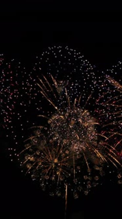 Brilliant Colorful Fireworks Exploding in Night Sky