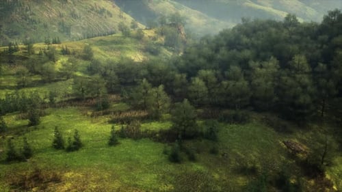 Aerial View of Lush Green Valley in the German Alps