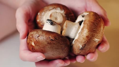 Fresh Champignon Mushrooms Big Portobello Macro Side View Background Chef Man Hold Supermarket Food