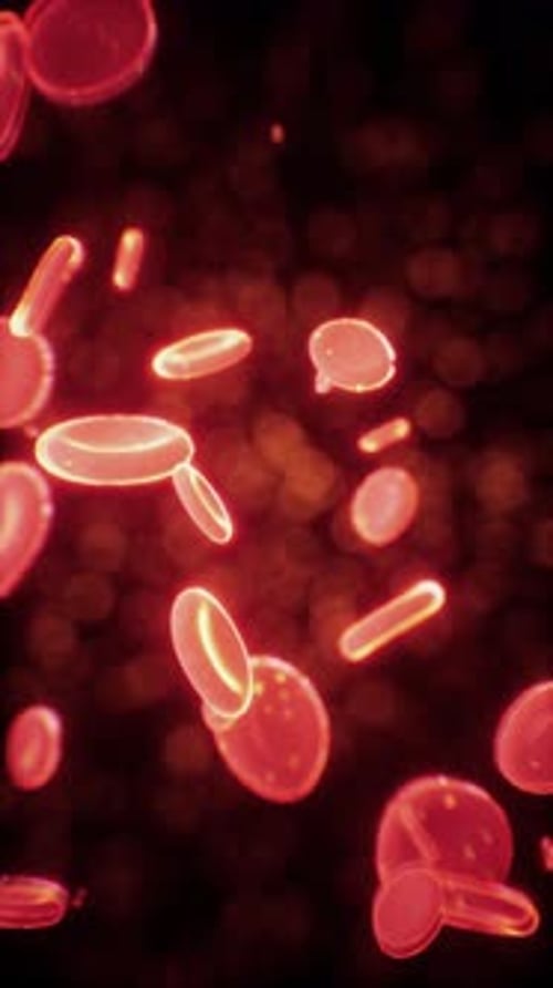 Healthy Human Red Bloodcells Abstract Concept