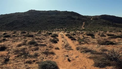 Rugged golden desert two-track road climbs to arid hill landscape