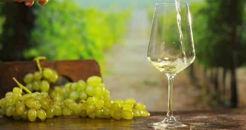 sommelier in vineyard pouring italian white wine in glass in slow motion