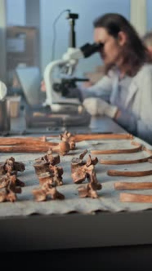 Young Adult Woman Analyzing Bones Through Microscope in Lab