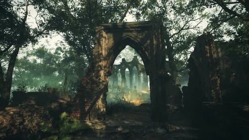 Abandoned Church Ruins in Forest