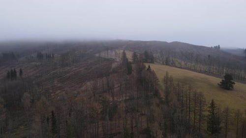 Flying over the landscape and forest under the thick fog around during the winter evening.
