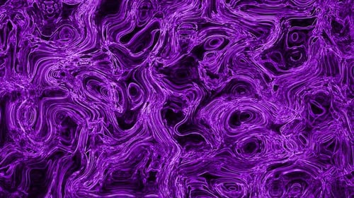 Dynamic Abstract Purple Fluid Lines Motion Background