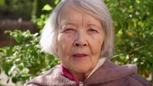 A Grandmother with Gray Hair and a Wrinkled Face in a Park on a Bench