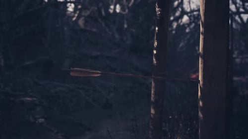 An Arrow Embedded in a Wooden Post Amidst a Dark Forest Setting