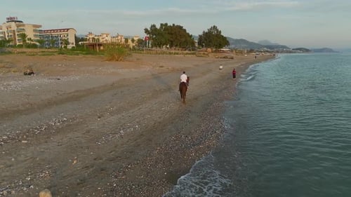 Aerial View Twilight Trot Horseback Serenity at Mediterranean Shore