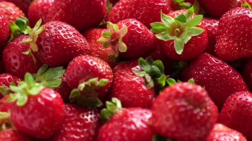 Strawberry on a White Background Strawberry Background Red Fresh Strawberry Wallpaper Macro Texture