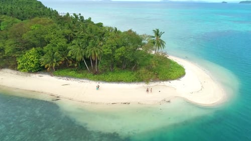 Aerial View of a Tropical Island with Palm Trees and White Sand Beaches Amazing Tropical Island in
