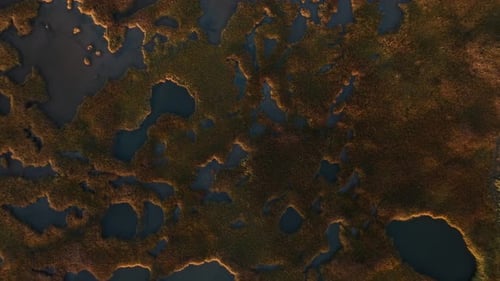 Top View Of Salt Marsh In Cape Cod, Barnstable, Massachusetts - Drone Shot