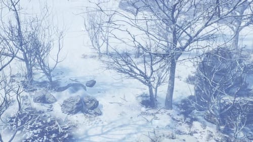 Snow Falling Landscape