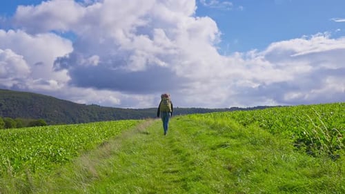 Camera rising above lush green farmland and rolling hills as backpacking hiker walks away, Germany