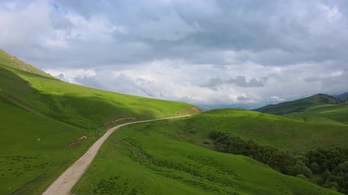 Journey Down Scenic Green Valley Road Winding Through Rolling Hills Surrounded By Greenery