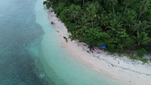 aerial view of the coastline filled with coconut trees. Tropical island