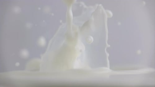 Fresh Milk Drop Falling and Splashing in a Milky Pool Pouring Milk in Slow Motion