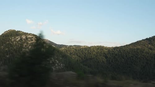 Traveling by car on mountain roads, pine-covered mountains at sunset, view in motion.
