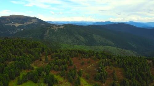 Aerial View of Mountain Forest Landscape Media