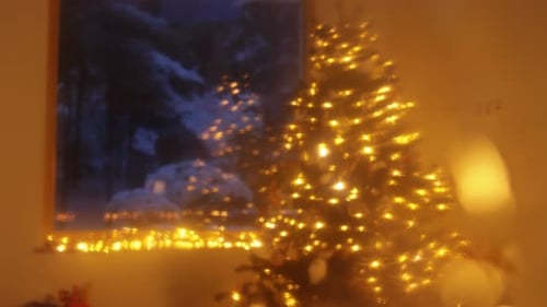 Glowing Christmas Tree with Lights by Window