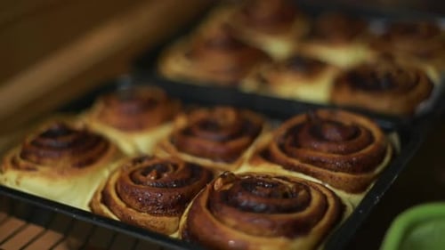 Two Trays of Freshly Baked Cinnamon Rolls